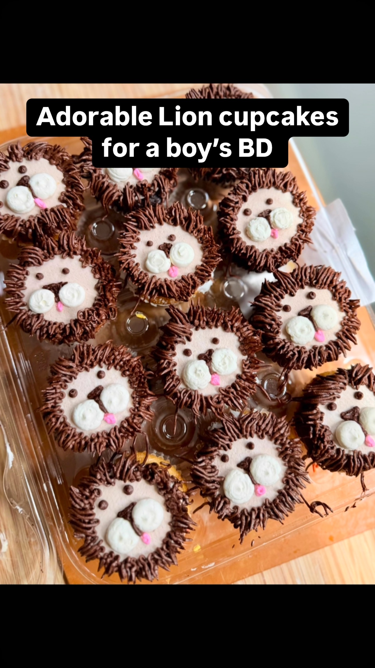 Custom Lion Cupcakes